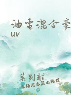 油电混合豪华suv