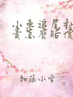 小车追尾对方全责怎么赔偿
