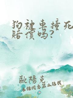 狗被车撞死了要赔偿吗?