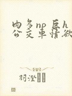肉多np 巨h公交车情欲