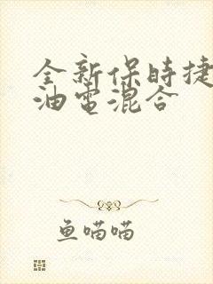全新保时捷卡宴油电混合