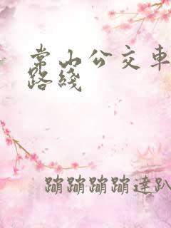 常山公交车查询路线