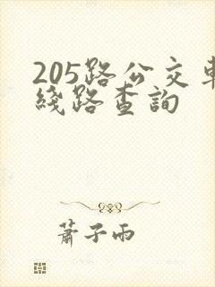 205路公交车线路查询 205路公交车线路查询