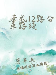 孝感12路公交车路线