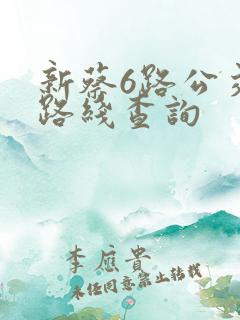 新蔡6路公交车路线查询