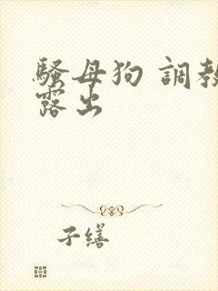 骚母狗 调教 露出