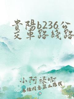 贵阳b236公交车路线路查询