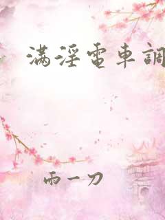 满淫电车调书2 满淫电车调书2