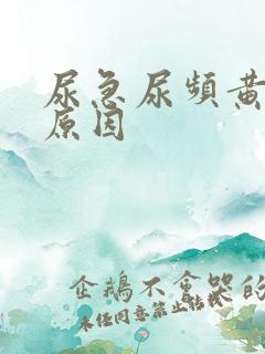 尿急尿频黄尿啥原因