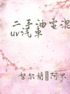 二手油电混合suv汽车
