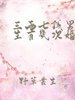 三两七钱男命一生有几次婚姻