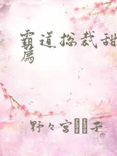 霸道总裁甜文推荐