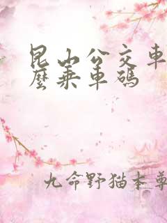 昆山公交车用什么乘车码
