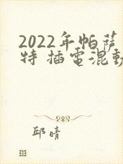 2022年帕萨特 插电混动价格