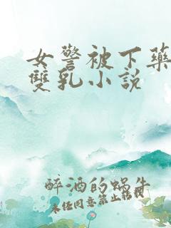 女警被下药玩弄双乳小说