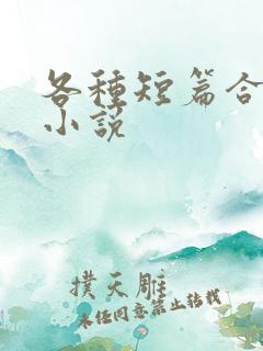 各种短篇合集的小说