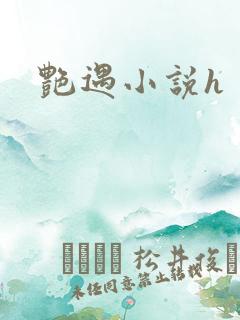 艳遇小说h 艳遇小说h