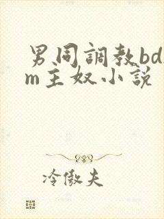 男同调教bdsm主奴小说