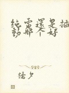 纯电还是插电混动哪个好