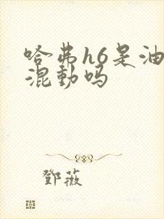 哈弗h6是油电混动吗