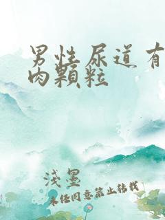 男性尿道有个小肉颗粒