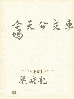 今天公交车停运吗