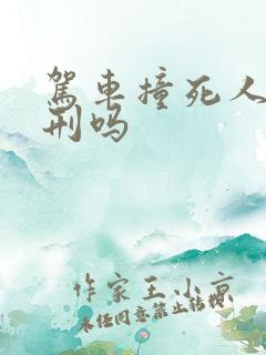 驾车撞死人要判刑吗
