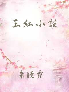 王红小说 王红小说