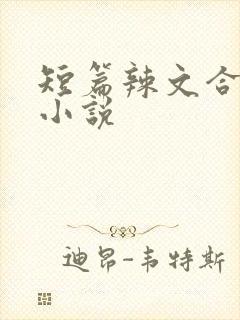 短篇辣文合集 小说