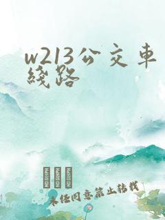 w213公交车线路