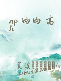 np 肉肉 高h np 肉肉 高h