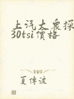上汽大众探岳330tsi价格