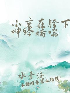 小哀在胯下疯狂呻吟娇喘