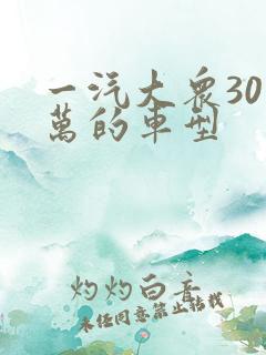 一汽大众30多万的车型