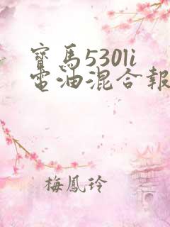 宝马530li电油混合报价