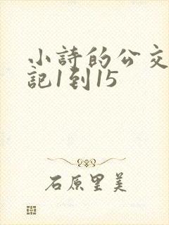 小诗的公交车日记1到15