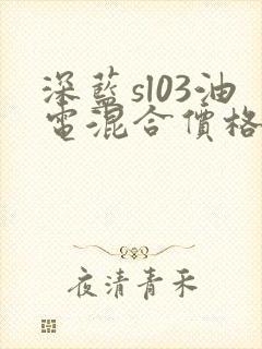 深蓝sl03油电混合价格