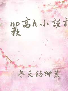 np高h小说调教