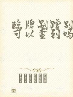 临牌剐蹭别人车可以查到吗