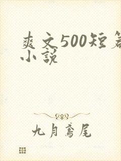 爽文500短篇小说