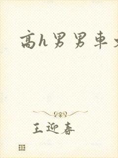 高h男男车文