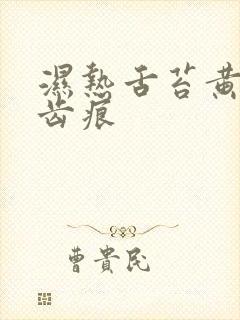 湿热舌苔黄腻有齿痕