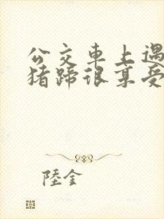 公交车上遇到咸猪蹄很享受小说