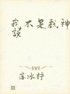 我不是戏神 小说