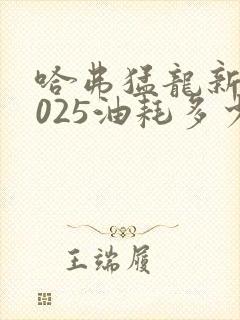 哈弗猛龙新款2025油耗多少