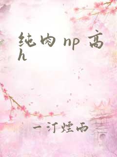 纯肉 np 高h