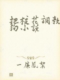 把校花调教成母狗小说
