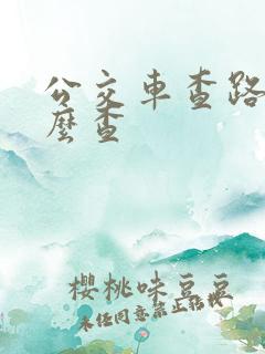公交车查路线怎么查
