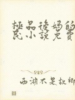极品后妈的爱浩民小说免费阅读