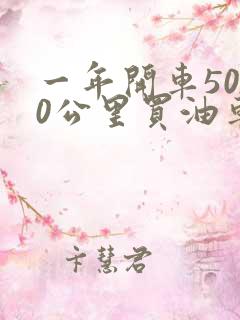 一年开车5000公里买油车还是电车